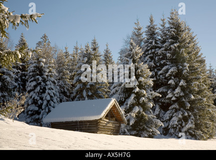 Verschneite Hütte am Rande eines Waldes in den Bergen, Klais bei Mittenwald, Oberbayern, Deutschland, Europa Stockfoto