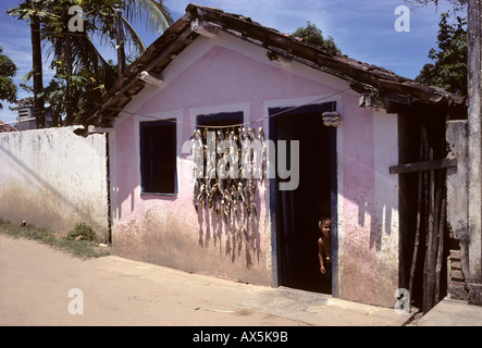 Bahia, Brasilien. Ein kleines Mädchen schaut heraus aus einem rosa Fischerhütte; Fisch hing zu trocknen und zu verkaufen. Stockfoto