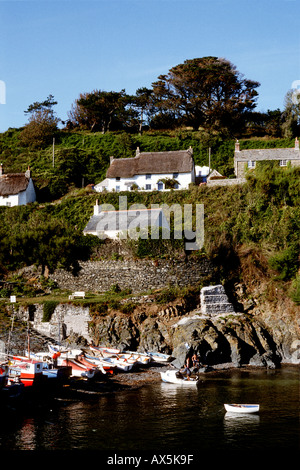 Cadgwith, Cornwall, England. Weiß getünchten Ferienhäuser seitlich Tal mit Blick auf den Hafen mit Fischerbooten. Stockfoto