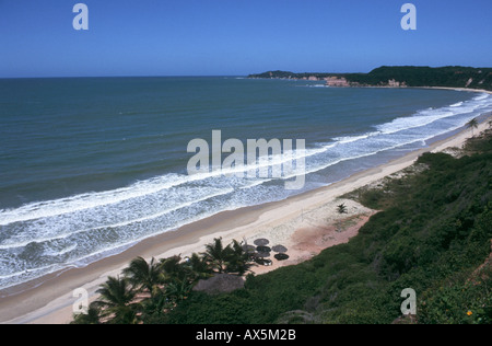 Pipa, Nordosten Brasiliens. Blick über unberührte Strand in Sandbucht mit Palm reetgedeckten Strandbar und Klippen im Gebüsch bedeckt. Stockfoto