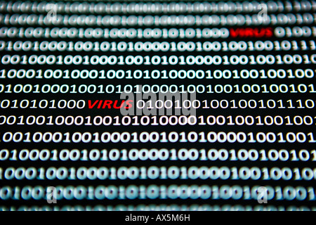 Computer-Virus, "Virus" in rot zwischen Bit Codierung in einem Computer-Datenstrom geschrieben Stockfoto