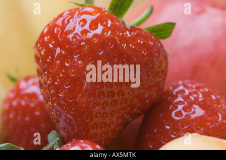 Erdbeeren (Fragaria) Stockfoto