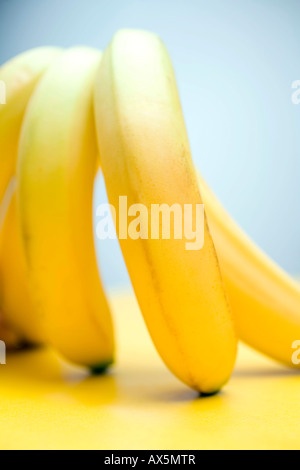 Bananen (Musa) Stockfoto