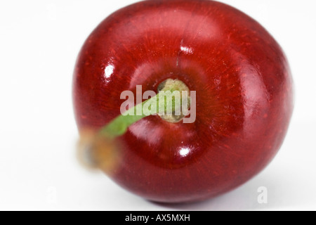 Kirsche (Cerasus) Stockfoto