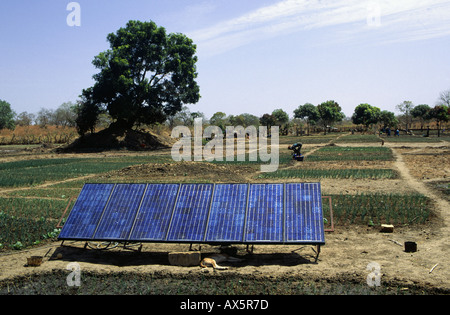 Tankular, Gambia. Solarzellen auf ein landwirtschaftliches Projekt, die internationale Wohltätigkeitsorganisation Beihilfe finanziert. Stockfoto