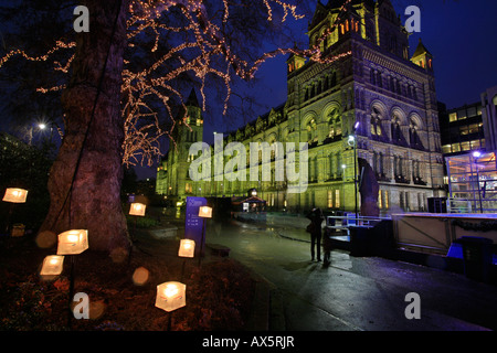 Outdoor-Eisbahn vor dem Natural History Museum, South Kensington, London, England, UK, Europa Stockfoto