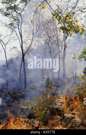 Genannte, Tansania. Brennende Vegetation in der Schrägstrich-und-brennen Landwirtschaft. Stockfoto
