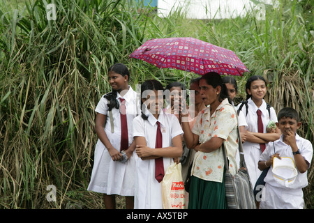Kinder in Schuluniformen an einer Bushaltestelle, Godagama, Sri Lanka, Südasien wartet gekleidet Stockfoto