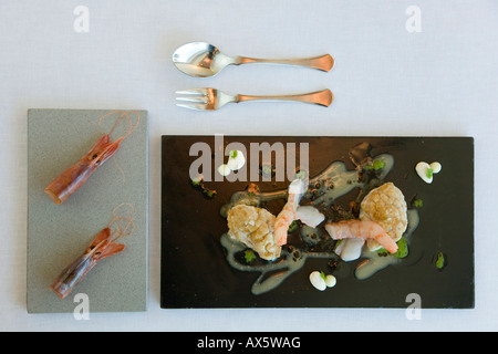 Sesos de Cordero y Gambas al Ajilo: Lamm Gehirn mit Knoblauch-Garnelen serviert im Restaurant Tragabuches in Ronda, Andalusien, Spanien Stockfoto