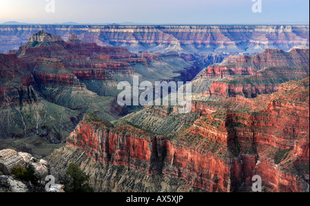 Bright Angel Point, Grand Canyon Lodge North Rim, Grand Canyon National Park, Arizona, USA, Nordamerika Stockfoto