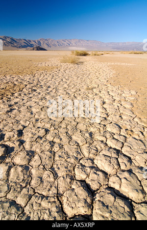 Austrocknung Risse, trockenen Lehmboden bei Stovepipe Wells in Death Valley Nationalpark, Kalifornien, USA, Nordamerika Stockfoto