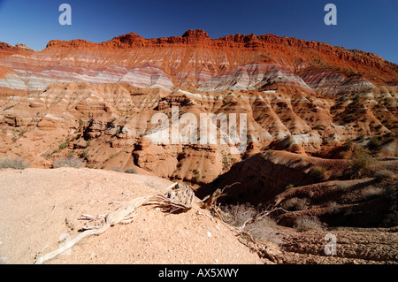 Wüstenlandschaft mit Sandsteingebirge in das erodierte Gebiet entlang der Paria River wo viele klassische Western gedreht wurden, Gra Stockfoto