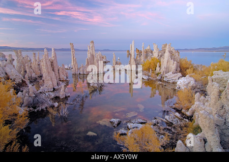 Interessanten Tuff Felsformationen, Mono Lake, Lee Vining, California, USA Stockfoto