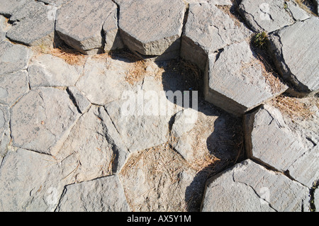 Hexagonalen Muster auf der Oberseite der Basaltsäulen am Mammoth Lake, der Teufel Postpile National Monument, Kalifornien, USA Stockfoto