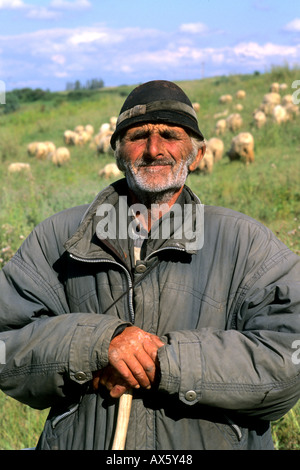 Kroatien Küste Porträt der älteren Schafe Herder in der Nähe von Dubrovnik Kroatien Stockfoto