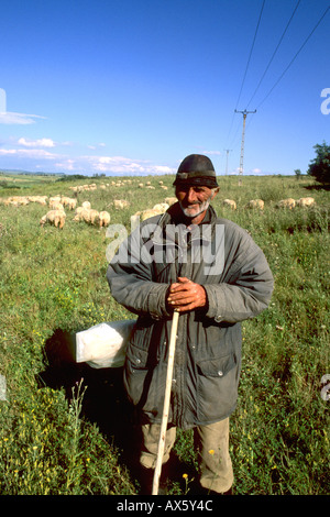 Kroatien Küste ältere Schafe Herder in der Nähe von Dubrovnik Kroatien Stockfoto