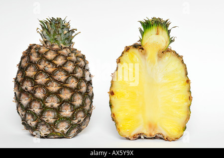 Ananas (Ananas Comosus) Stockfoto