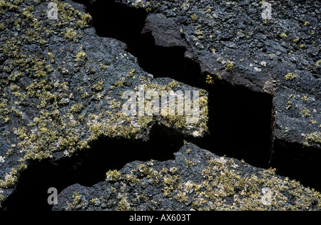 Risse im Lavagestein, Flechten, Lanzarote, Kanarische Inseln, Atlantik, Spanien, Europa Stockfoto