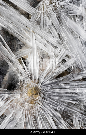 Stein im Eis eingefroren interessante Eisformationen Stockfoto