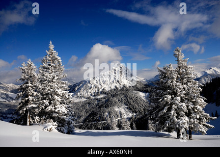 Schneebedeckte Bäume mit Bergen im Hintergrund, Winterlandschaft in Pfronten, Bayern, Deutschland, Europa Stockfoto