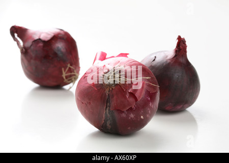 Rote Zwiebeln Stockfoto