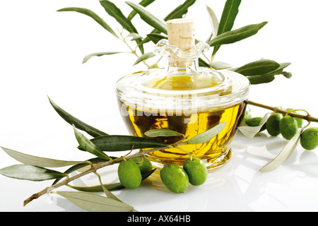 Frischen Oliven am Zweig und Karaffe Olivenöl Stockfoto