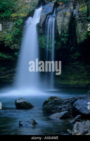 Wasserfall auf Iron Creek in den Gifford Pinchot National Forest Cascade Mountain Range Washington USA Stockfoto