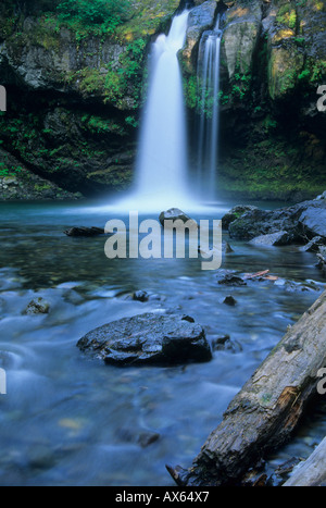 Wasserfall auf Iron Creek in den Gifford Pinchot National Forest Cascade Mountain Range Washington USA Stockfoto