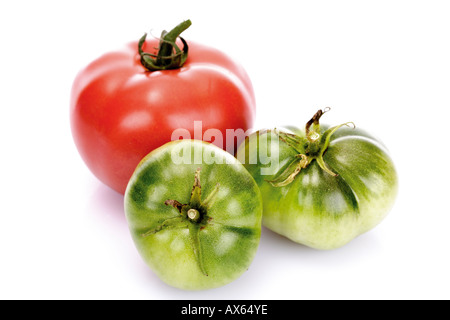 Rote und grüne Tomaten, close-up Stockfoto