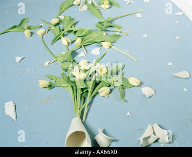 Zerbrochene Vase und Blumen am Boden Stockfoto