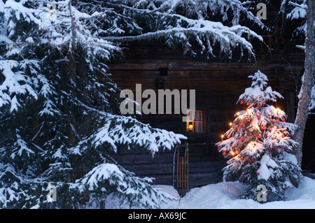 Weihnachtsbaum mit Schnee bedeckt Stockfoto