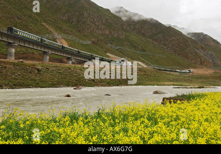 Eine Bahn führt durch einen Tunnel von der Tibet-Bahn, die im Juli 2006 eröffnet. Stockfoto