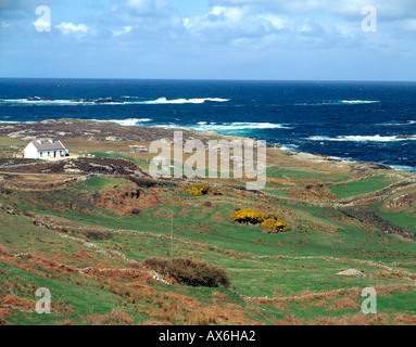 grüne Felder mit gelbem Ginster und altes Haus Rollen auf der irischen Atlantikküste, Stockfoto