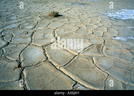 Trockenen Seebett von Owens Lake in Owens Valley, Kalifornien, USA Stockfoto