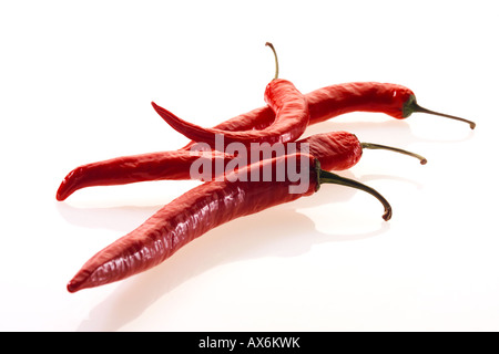Nahaufnahme von roten Chilischoten Stockfoto