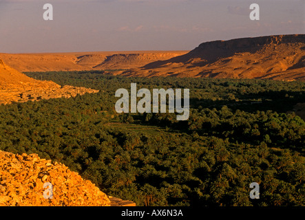 Oasis Village von oulad Aissa, oulad Aissa, zwischen er-rachidia und Erfoud, Ziz Tal, Marokko, Afrika Stockfoto