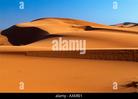 Sanddüne, Sand Dünen, Erg Chebbi, Sahara Wüste, Sonnenaufgang, Morgenröte, Tagesanbruch, Landschaft, Merzouga, Errachidia Provinz, Marokko Stockfoto