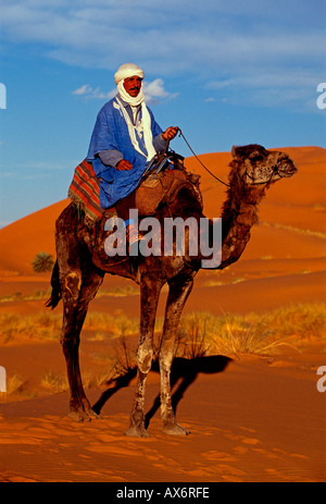 1, 1, Marokkaner, Berber Mann, reiten Kamel, Erg Chebbi, in der Nähe der Stadt von Merzouga, Errachidia Provinz, Marokko, Nordafrika, Afrika Stockfoto