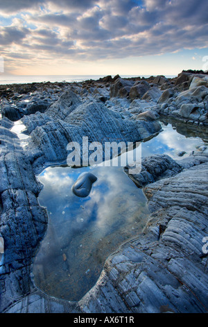 Rockpool im Sandymouth Bay in North Cornwall Stockfoto