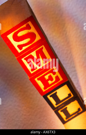 STAPEL VON HOLZ SPIELZEUG BAUSTEINE RECHTSCHREIBUNG DEN WORT-GERUCH Stockfoto
