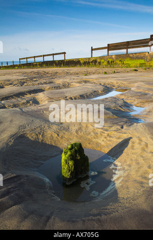 Verwitterte Holz Buhne auf Sandown Beach, Isle Of Wight Stockfoto