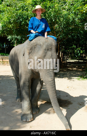 Junge Frau mit Elefanten auf der Mahout und Elephant Training School in der Nähe von Lampang, Nord-Thailand. Stockfoto