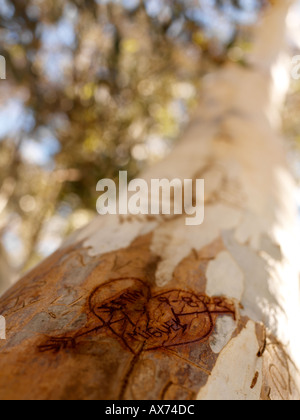 Baumstamm und graffiti Stockfoto
