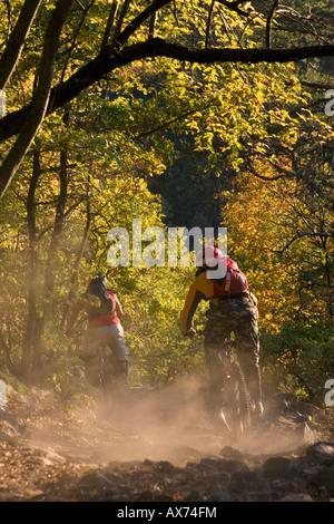 Italien, Südtirol, Mann Mountainbiken Stockfoto