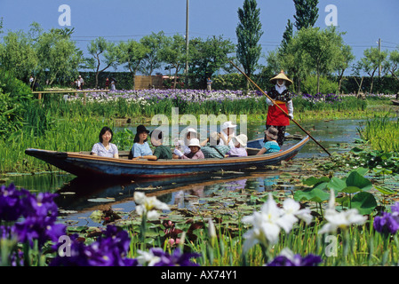 Die Besichtigung in die japanische Iris Botanischer Garten der Sawara in Chiba-Japan-Asien Stockfoto