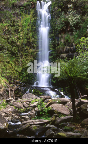 Erskine fällt in der Nähe von Lorn auf der great Ocean Road südlich von Melbourne Australien Stockfoto