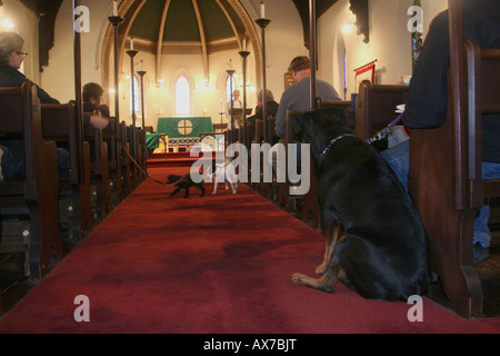 Der Reverend Jerry Brooks ein Segen von Tieren und Menschen zu Ehren des Heiligen Franziskus von Assisi Schutzpatron der Tiere Stockfoto