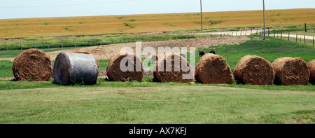 Heu ist in Großrollen auf Kansas Bauernhof USA nicht freigegeben gespeichert. Stockfoto