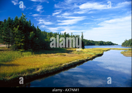 Fluss, Cap-Breton-Insel, SPR Nova Scotia Kanada Stockfoto