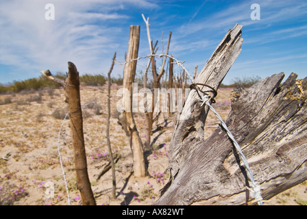 provisorische Barbwire Zaun in Baja California, Mexiko Stockfoto